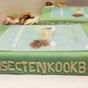 insect cake_RTR30US8_R_opt.jpeg