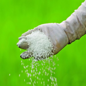 hand_fertilizer_thinkstock_.jpg