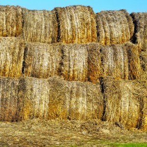hay_bales_thinkstock_154239.jpg
