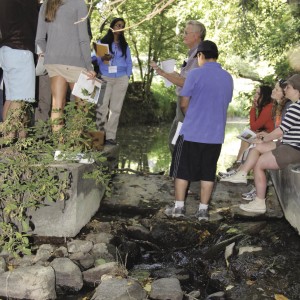 Cruikshank 2_ADawson_c_opt.jpeg