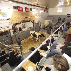 sv grunthal foodgrains_opt.jpeg