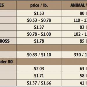 (click for full view)