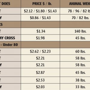 Goat market prices chart