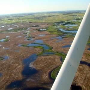 Flooded and unseeded land near Souris. Photo: Walter Finlay