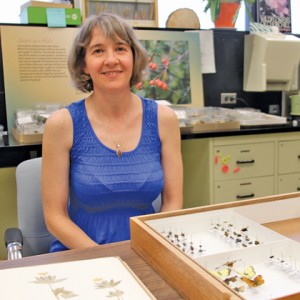 Diana Bizecki Robson is the Manitoba Museum’s curator of botany who created the Prairie pollination exhibit to help enhance public appreciation of all types of wild pollinators, and motivate people to make positive changes to save them.