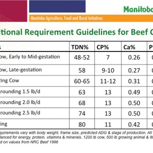 cattle nutrition chart