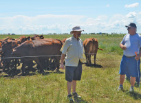 Neil Dennis (l)  and  Brian Harper (r), experienced cattle grazers, shared the benefits of using Batt-Latches at a recent field tour at Circle H Farm near Brandon.