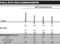2015-fall-rye-field-comparisons