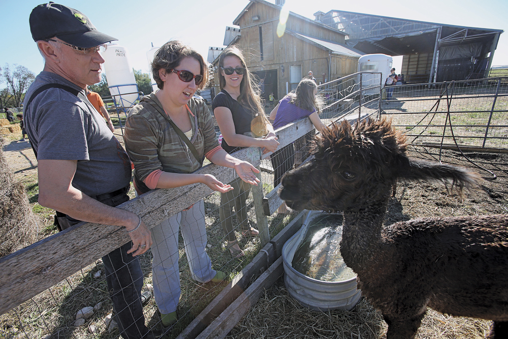 Aurora Farm was one of 40 that opened its doors to the public last Sunday as part of Open Farm Day.