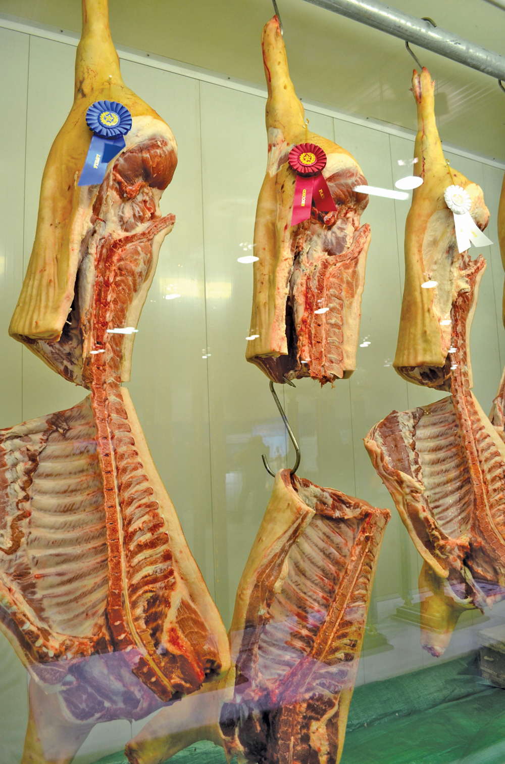 Hog Days held its annual pork quality contest where producer-submitted carcasses are graded on weight, fat content, texture, marbling and colour.