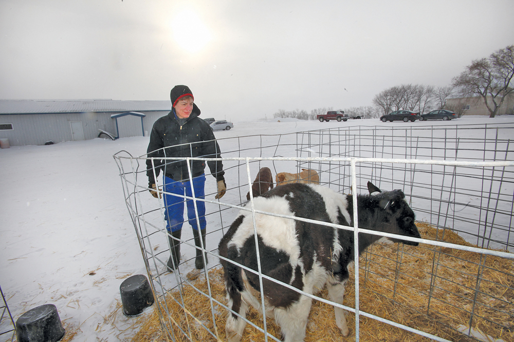 Doing chores on the Sweetridge farm near Winkler, Man.