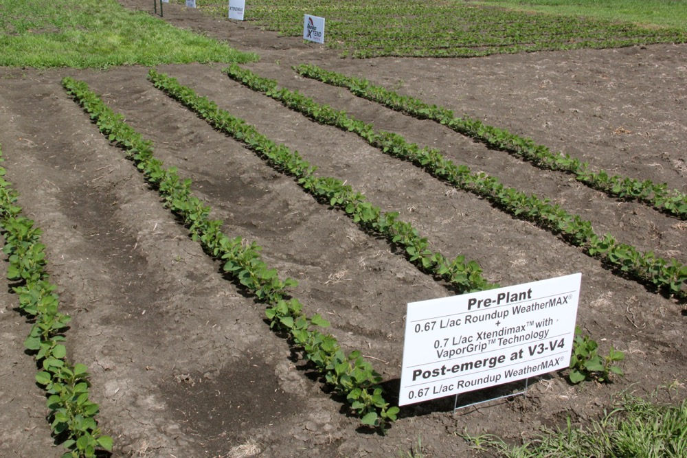 Monsanto hopes to commercialize its glyphosate and dicamba tolerant Roundup 2 Xtend soybeans this spring, but seed sales are on hold pending European Union approval.