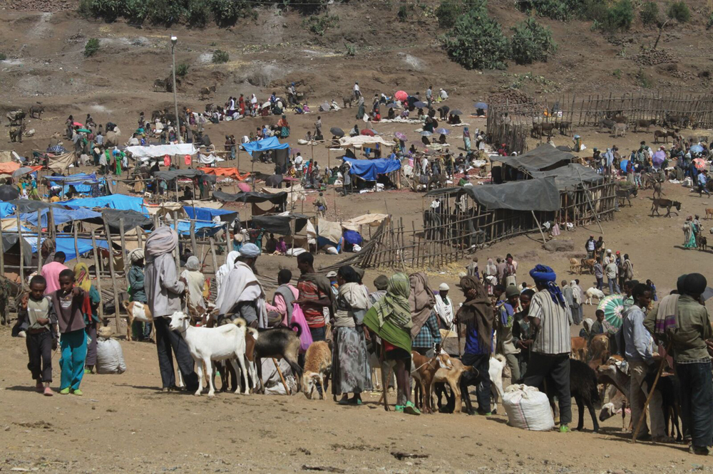 During the CFGB tour the Turners visited a number of the organization’s projects that offered local farmers techniques and systems to help cope with drought.