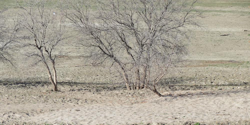 Trinder captured the same pasture as shown above) in 2014 following multiple flooding events.