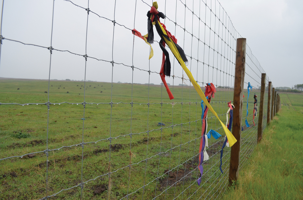 Brightly coloured flags and tobacco offerings line the bison enclosure at Sioux Valley Dakota Nation.