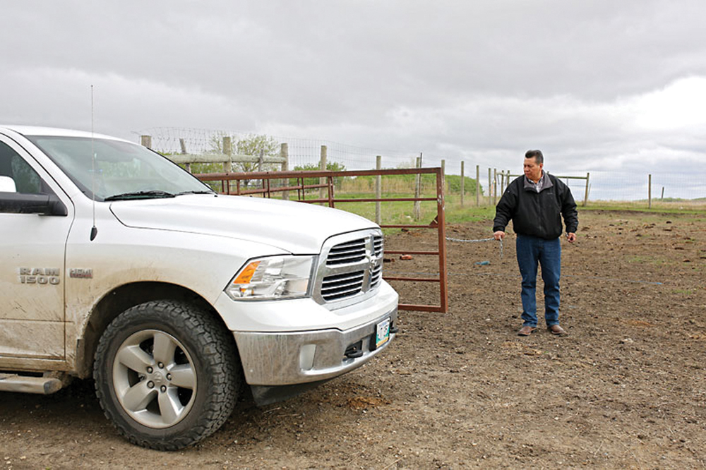 Vincent Tacan, chief of Sioux Valley Dakota Nation, is the caretaker of the reserve’s bison herd along with his brother Tony.