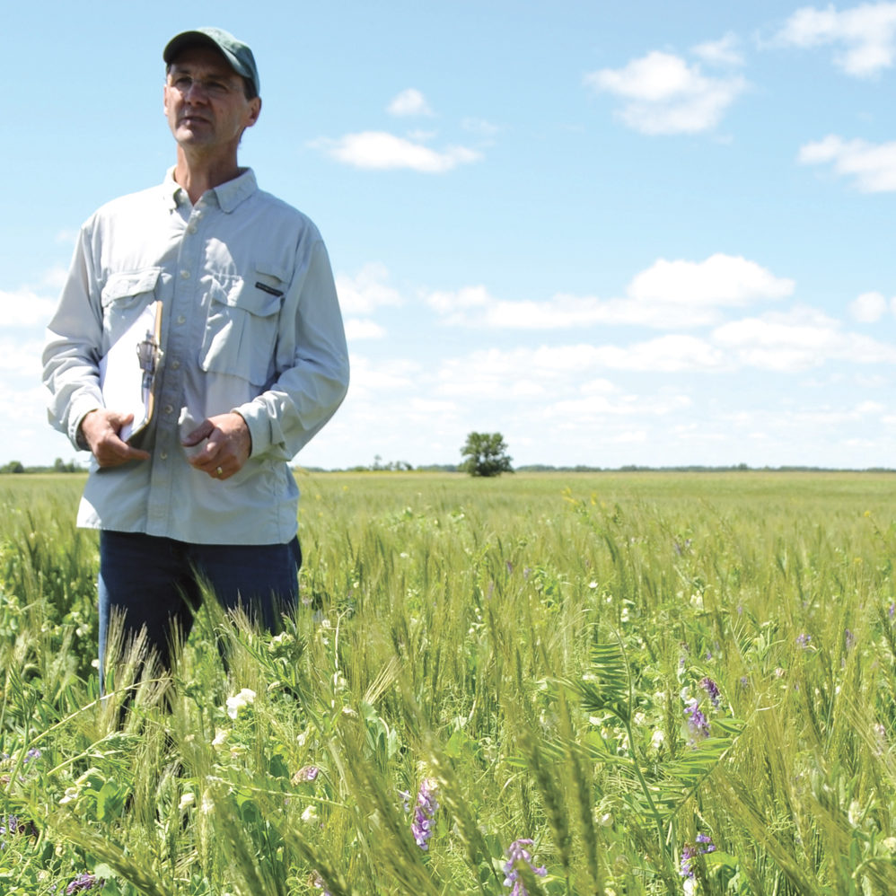 Ducks Unlimited grazing club co-ordinator, Michael Thiele discusses the benefits of growing winter wheat during a field tour of Ryan Boyd’s operation near Forrest.