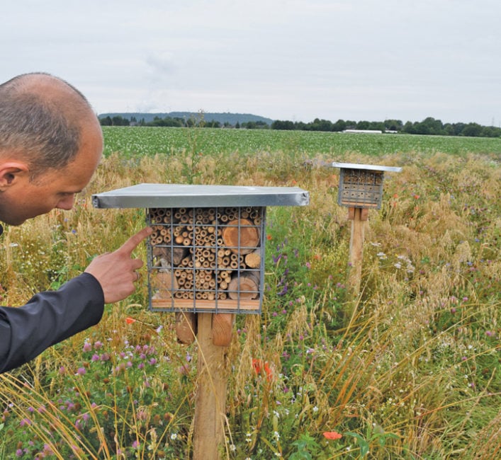 Researcher Patrick Lind explains how biodiversity on German farms can be improved with pollinator havens — small areas of land that provide wild pollinators with flowering plants and places for them to rest and nest.