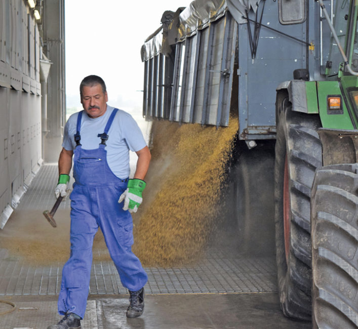 German farmers feel squeezed between intensifying pressure on their production practices and tightening margins.