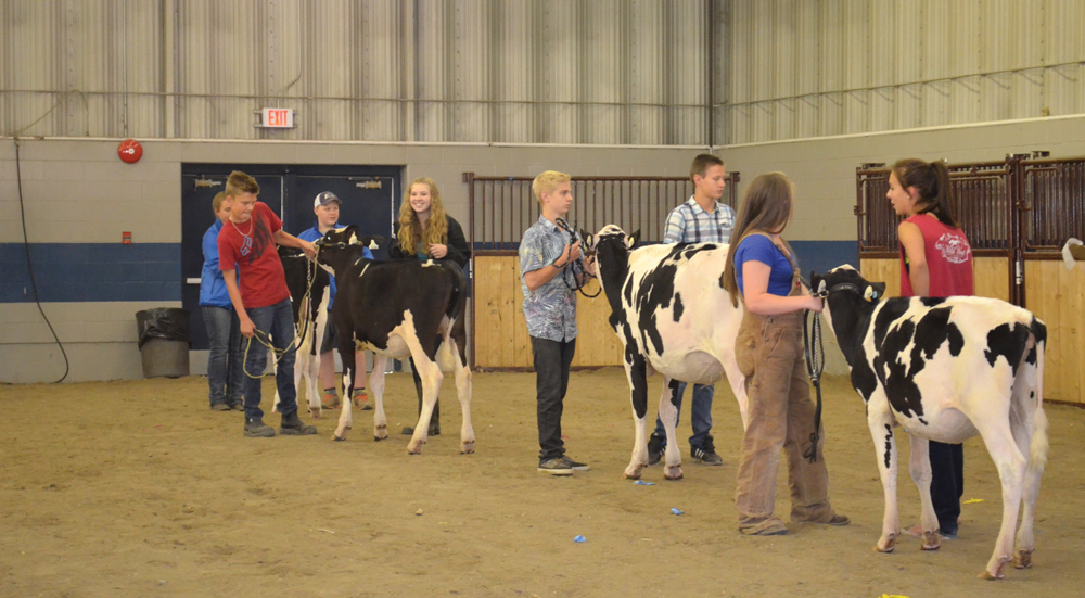 The Western Canadian Classic brings together 100 youth for a week of stall, showmanship and conformation competitions.