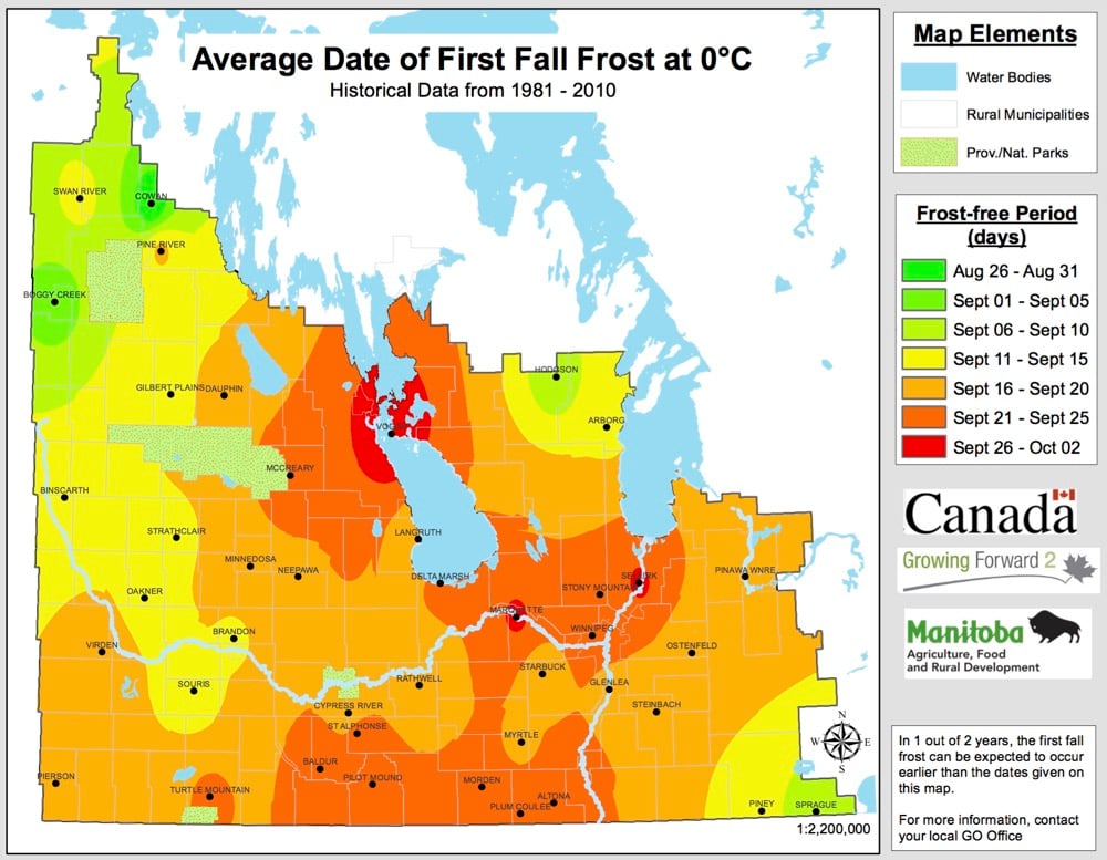 Manitoba soybean crops escape light frost damage