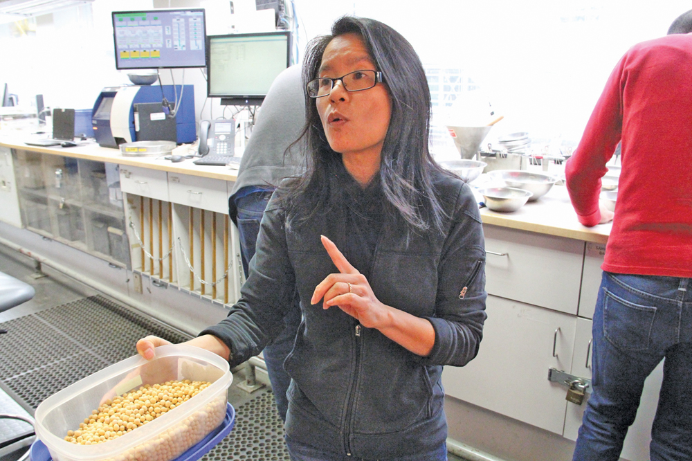 Canadian Grain Commission grain inspector Gillian So shows farmers visiting Cargill’s Vancouver terminal a standard sample of soybeans. CGC inspectors use standard samples, put together every year after harvest, as a visual example by which to compare the grain they are grading.