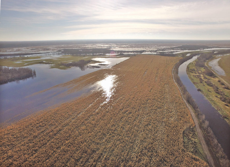 flooded land