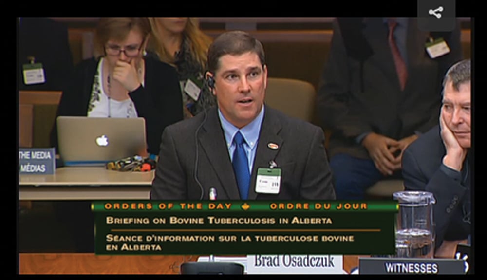Alberta rancher Brad Osadczuk travelled to Ottawa to tell the standing committee on agriculture about the devastating impact that the discovery of TB in his herd has had on him and ranchers in his area.