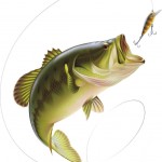 Largemouth bass catching a bait. photo: thinkstock