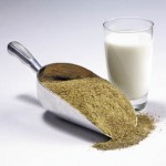 Fencing that once marked pasture land now butts up against the shore of East Shoal Lake.  Photos: Shannon VanRaes