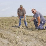 two men in a storm-damage crop