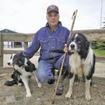 Stock dog competition makes successful Ex debut