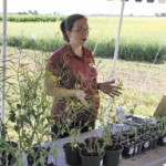 Biosecurity in the field