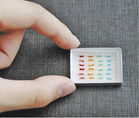 This technology, known as a PCR slide, could help detect E. coli in a meat-packing plant in under an hour.