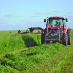 Manitoba hay supplies may range from good to a bit short this year, depending on the area.  (Darlene Smaldon photo)