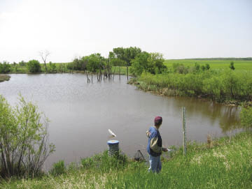 New Growing Forward 2 aimed at cleaning up farm run-off