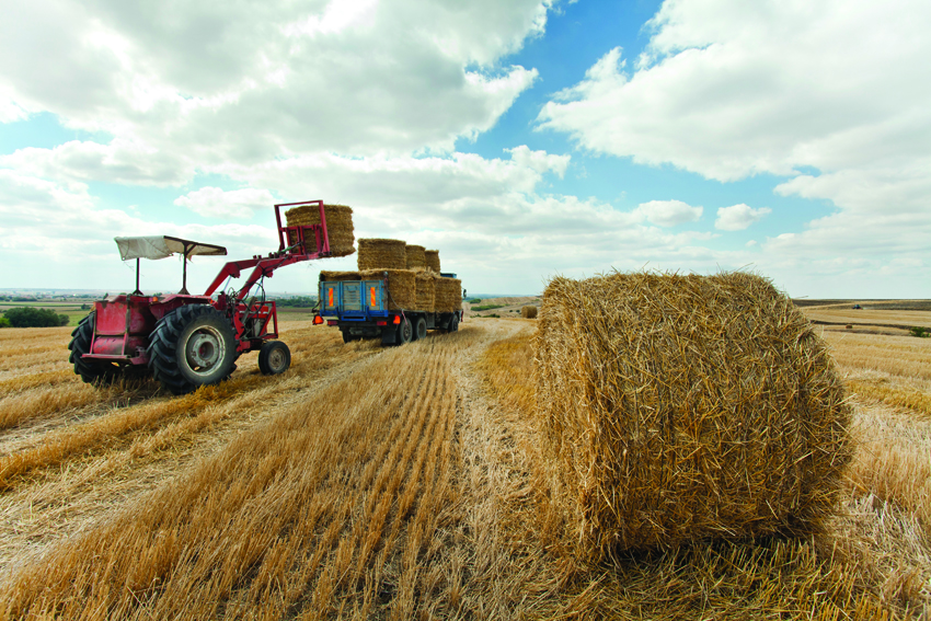 photo: thinkstock