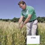 Norm Dreger, head of cereals for Syngenta in North America, said Syngenta is committed to developing new wheats for Western Canada and the world.  photo: allan dawson