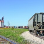 Railcars await loading at the Pioneer terminal near Brunkild southwest of Winnipeg.  photo: Laura Rance