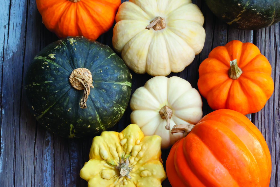 Recipe Swap: Developing world food security through knowledge