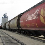Shippers say the railways don’t have enough surge capacity.  photo: alland dawson