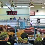 Calves move through the auction ring at Heartland Livestock Services last week.  photo: Daniel Winters 