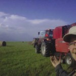 Common-sense strategies drive sustainable agriculture