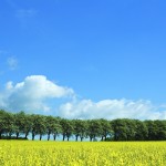 photo: thinkstock