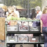 Downtown BIZ wants to hear from those interested in a permanent farmers’ market established in downtown Winnipeg.  photo: shannon vanraes