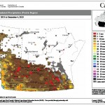 This week's map shows the total amount of precipitation that fell across the Prairies during the seven days ending Dec. 4. From the map you can see the track of the storm that affected different parts of the Prairies during this period. Heavier amounts of snow fell across western and southern Alberta as the system moved southeastward across that province and into the central U.S. The storm then curved to the northeast and borught measurable snow to south-central and southeastern regions of Manitoba.