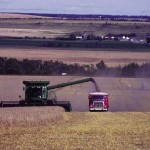 Research proves it — living in the country is better