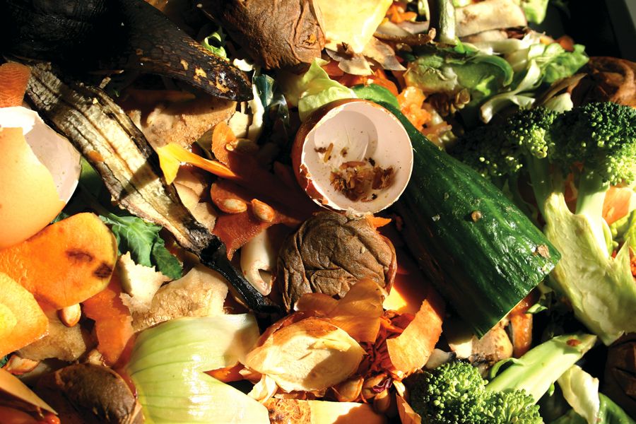 food waste