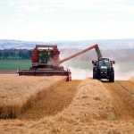Combine and tractor harvesting grain in a field.