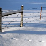 Snow and a barbed wire fence.